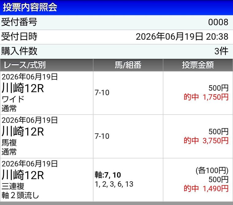会員Hさんの投票内容照会（川崎12R・2026年06月19日・的中箇所を含む）